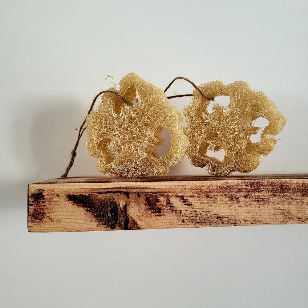 Kabak Lifi 2'li Doğal Bulaşık Süngeri