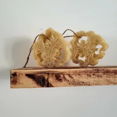 Kabak Lifi 2'li Doğal Bulaşık Süngeri