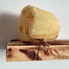 Banyo Lifi - Doğal Kabak Lifi