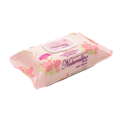 Islak Mendil 100 Adet