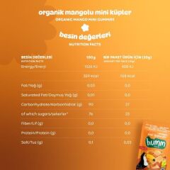 Organik Glutensiz Vegan Mangolu Mini Küpler - 30g